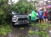 Pohon Tumbang Timpa Mobil di Buduran, Polsek Buduran Gerak Cepat Lakukan Penanganan
