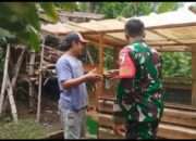 Komsos Babinsa Bersama Peternak Ayam, Wujud Dukungan Ketahanan Pangan