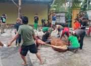 Masjid Thoriqul Jannah Jalan Sutorejo 192 Penyembelihan Kurban Idul Adha 1447 H