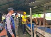 Bhabinkamtibmas Polsek Pakal Dukung Ketahanan Pangan Dengan Sambangi Peternak Sapi di Kelurahan Pakal