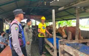 Bhabinkamtibmas Polsek Pakal Dukung Ketahanan Pangan Dengan Sambangi Peternak Sapi di Kelurahan Pakal