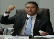 261 Pegawai BGN Dipecat, Terlibat Judol hingga Dugaan Penyalahgunaan Dana